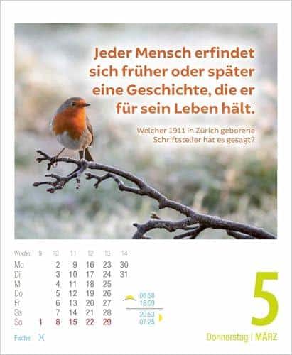 2026 Lebensweisheiten: Unser Review zum Tages-Abreisskalender