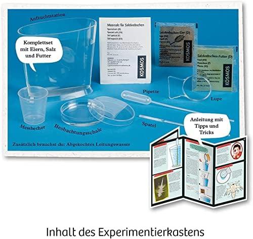 Wir züchten Urzeit-Krebse: KOSMOS 657871 Experimentier-Set Review