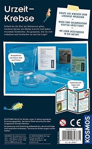 Wir züchten Urzeit-Krebse: KOSMOS 657871 Experimentier-Set Review
