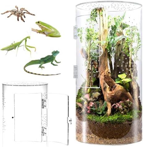 Kleines Paradies für deine Pflanzen: Alles über Terrariumgröße, Technik und Einrichtung