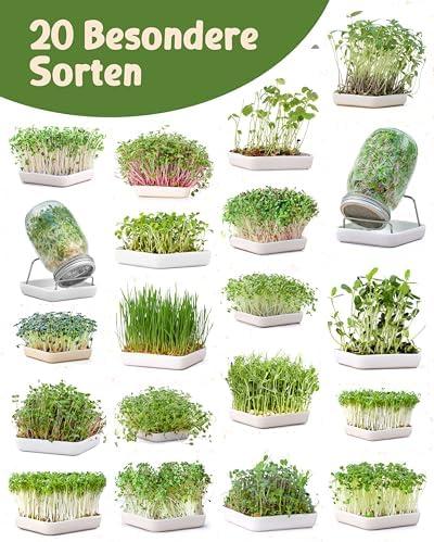 Deutsch übersetzen
salmi
5,0 von 5 Sternen Je recommande graines bio
Überprüft in Belgien am 12. Oktober 2025
Stil: Gemüse 15
Verifizierter Kauf
Parfait toutes les graines ont bien germer et ont produits les légumes désirez je recommande fortement de plus vous avez accès à leur site et conseils de culture
Weiterlesen
Melden
Rezensionen auf Deutsch übersetzen
Valentina Biondi
5,0 von 5 Sternen Semi di qualità ottima e ottimo packaging
Bewertet in Italien am 19. November 2025
Stil: Sprossen Nutri 10
Verifizierter Kauf
Molto soddisfatta! All’interno della confezione ho ricevuto non solo tutti i semi ma uno come bonus regalo! Per adesso ho piantato solo 6 bustine e devo dire che sono ottime ! Sono cresciute tutte e 6 al 100% in circa 13 giorni , in ambiente chiuso e con led. Sono tra l’altro buonissimi come sapore. Ottimo prodotto
Weiterlesen
Valentina Biondi
5,0 von 5 Sternen Semi di qualità ottima e ottimo packaging
Bewertet in Italien am 19. November 2025
Molto soddisfatta! All’interno della confezione ho ricevuto non solo tutti i semi ma uno come bonus regalo! Per adesso ho piantato solo 6 bustine e devo dire che sono ottime ! Sono cresciute tutte e 6 al 100% in circa 13 giorni , in ambiente chiuso e con led. Sono tra l’altro buonissimi come sapore. Ottimo prodotto
Bilder in dieser Rezension
Melden
Rezensionen auf Deutsch übersetzen
momo
5,0 von 5 Sternen Découvrir la germination des graines !
Bewertet in Frankreich am 29. Oktober 2025
Stil: Sprossen 20
Verifizierter Kauf
petits sachets de 10 grammes, de quoi faire 1 à 2 germinations par type de graine. Excellent pour pour les débutants . Vraiment une découverte.
Weiterlesen
Melden
Rezensionen auf Deutsch übersetzen