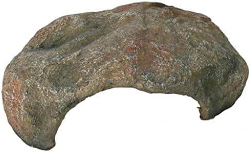 Terrariumgröße - Mach dein kleines Wunderland richtig gemütlich!