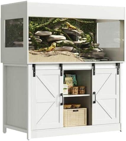 Deine ultimative Anleitung zur Terrariumgröße Technik Einrichtung