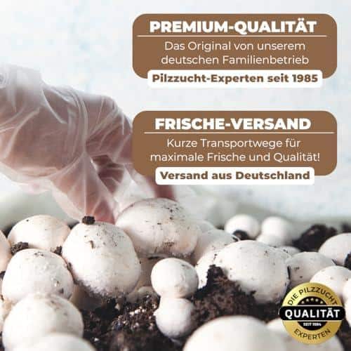 N reichhaltige Erträge hervor, sodass Sie lange Freude an Ihren selbst gezüchteten Champignons haben.
✓ EINFACHE ANWENDUNG: Mit unserer ausführlichen Anleitung können auch Anfänger und Kinder problemlos ihre eigenen Pilze züchten. Es ist keine Erfahrung im Gärtnern oder Garten notwendig.
✓ FRISCHER GENUSS: Mit dem Hawlik Pilzbrut - Champignon Zuchtset können Sie Ihre Champignons frisch ernten und direkt verarbeiten. Sie werden den Unterschied zu gekauften Pilzen sofort schmecken.
✓ UMWELTFREUNDLICH: Durch die eigene Zucht von Pilzen können Sie einen Beitrag zum Umweltschutz leisten, da Sie auf Transportwege und Verpackungen von Supermarkt-Pilzen verzichten.
✓ VIELSEITIG EINSETZBAR: Die selbst gezüchteten Champignons eignen sich hervorragend für die Zubereitung von verschiedenen Gerichten, insbesondere für Pasta, Risotto und Salate.
Probieren Sie es aus und genießen Sie den frischen Geschmack von selbst gezüchteten Champignons!