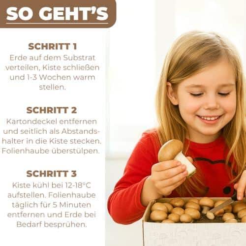 N Ihnen eine reiche Ernte an leckeren Champignons.
✓ EINFACHE ANWENDUNG: Mit unserer ausführlichen Anleitung ist die Pilzzucht auch für Anfänger und Kinder kinderleicht.
✓ FRISCH & GESUND: Genießen Sie selbst gezüchtete, frische Pilze ohne Pestizide und andere Zusatzstoffe.
✓ UMWELTFREUNDLICH: Mit dem Pilzzuchtset können Sie ganz ohne Garten und auf umweltschonende Weise Ihre eigenen Lebensmittel anbauen.
✓ VIELSEITIG EINSETZBAR: Die Pilze können in verschiedenen Gerichten verwendet werden und sorgen für besondere Geschmackserlebnisse.
Züchten Sie Ihre eigenen Champignons zu Hause und genießen Sie die frischen, gesunden Pilze in Ihren Lieblingsgerichten. Mit dem Hawlik Pilzbrut - Champignon Zuchtset gelingt Ihnen die Pilzzucht ganz einfach und unkompliziert. Probieren Sie es aus und freuen Sie sich auf eine reiche Ernte köstlicher Champignons!