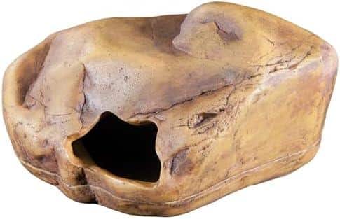 Check mal diese Terrariumgröße Technik Einrichtung aus!