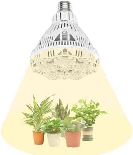 Wir probieren die SANSI Vollspektrum LED Pflanzenlampe aus: Unser Review