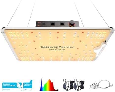 Samsung LM301H EVO Dioden Dimmbare Grow Light Wachstumslampe für Zimmerpflanzen, Gemüse, Blume
Unsere Samsung LM301H EVO Diode Dimmbare Grow Light Wachstumslampe ist die perfekte Wahl für alle Zimmerpflanzen, Gemüse und Blumen. Mit vollspektrum Licht und einem Dimmschalter können wir die Lichtintensität individuell anpassen. Außerdem können mehrere Lampen miteinander verbunden werden, um eine einheitliche Dimmung zu gewährleisten. Holen Sie sich jetzt Ihre neue Lieblingslampe für ein gesundes Pflanzenwachstum!
