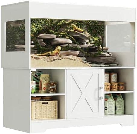 Die ultimative Terrariumgröße: Technik und Einrichtungstipps, die du kennen musst!