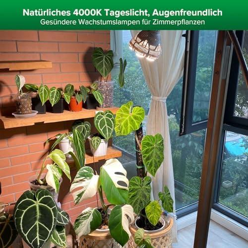 Wir probieren die SANSI Vollspektrum LED Pflanzenlampe aus: Unser Review