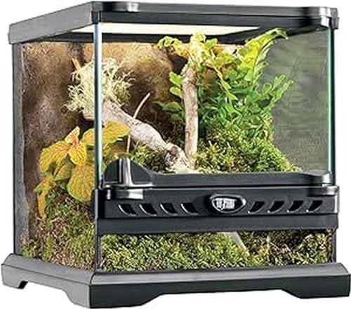 Hey du, Lass uns über die neueste Terrariumgröße Technik und Einrichtung plaudern!