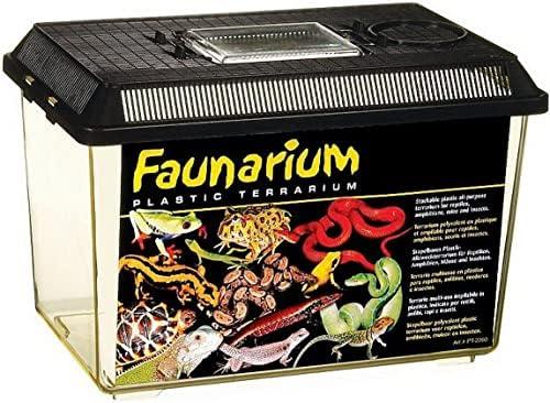 Hey du, Lass uns über die neueste Terrariumgröße Technik und Einrichtung plaudern!