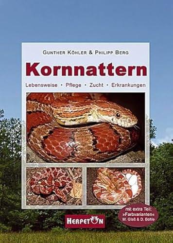 Unsere Erfahrung mit ‚Kornnattern: Lebensweise, Pflege, Zucht, Erkrankungen