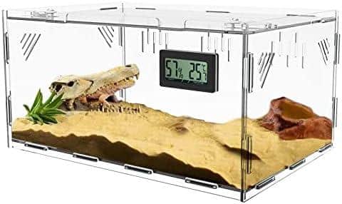 Du hast die perfekte Terrariumgröße gefunden – So richtest du es ein wie ein Profi!