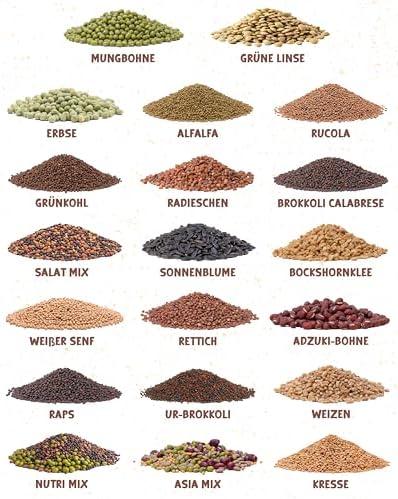Wir Probieren aus: ZenGreens® - 20er Set Bio Sprossensamen