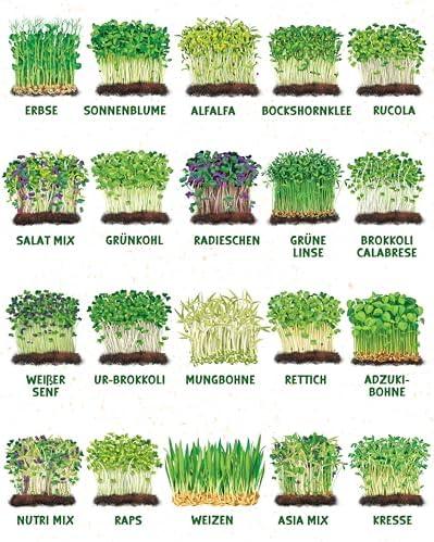 Wir Probieren aus: ZenGreens® - 20er Set Bio Sprossensamen