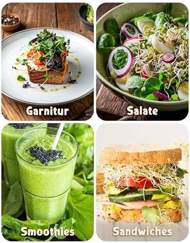 ZenGreens® - Bio Sprossensamen Deluxe: 20 Sorten für Profiköche - Leicht zu züchten - Nachhaltig & vielfältig