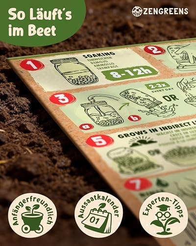 ZenGreens® - Bio Sprossensamen Deluxe: 20 Sorten für Profiköche - Leicht zu züchten - Nachhaltig & vielfältig