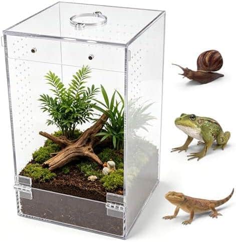 Du, hast du die richtige Terrariumgröße? Lass uns über Technik und Einrichtung reden!