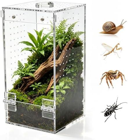 Die ultimative Terrariumgröße Technik Einrichtung für dein Zuhause