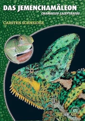 Das Jemenchamäleon: Unsere Rezension der Terraristik-Buchreihe