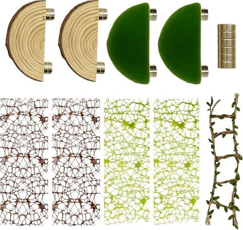 Bring die Natur rein: Tipps und Tricks zur Terrariumgröße Technik Einrichtung