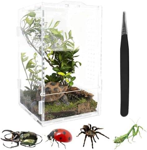 Hast du das Zeug? Terrariumgröße Technik Einrichtung - Tipps und Tricks