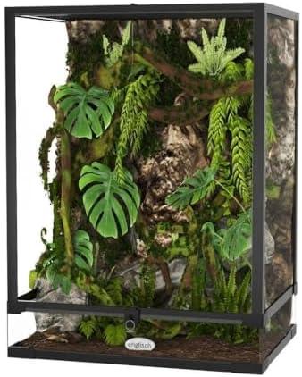 Alles, was du über Terrariumgröße, Technik und Einrichtung wissen solltest!
